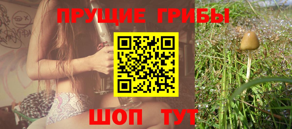 Шумерля  Псилоцибиновые грибы Magic Shrooms  Вход с VPN  Псилоцибиновые грибы прущие грибы 
