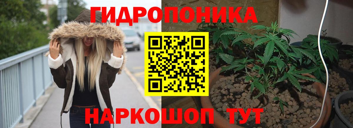 Марихуана Amnesia  Вход с VPN  Шумерля  Бошки марихуана SATIVA & INDICA  Бошки марихуана AK-47 